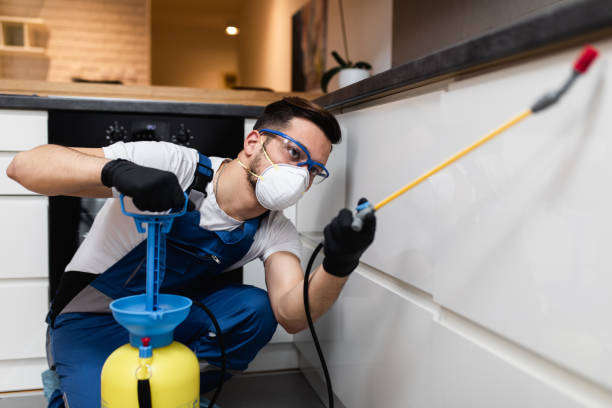 Pest Prevention Services in Keene, TX