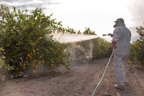 Keene, TX Pest Control Company