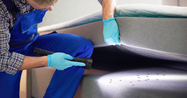 Best Affordable Pest Control Services  in Keene, TX