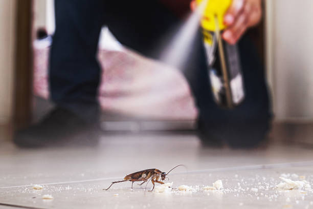 Best Pest Prevention Services  in Keene, TX